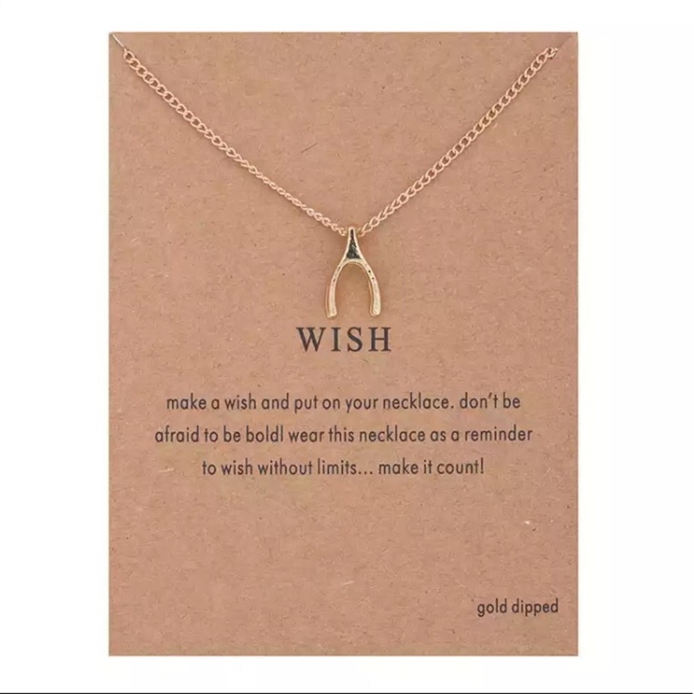 ❗️one left❗️Wishbone Necklace with Card